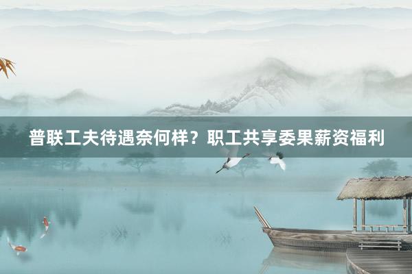 普联工夫待遇奈何样？职工共享委果薪资福利