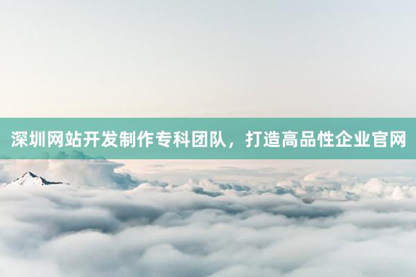 深圳网站开发制作专科团队，打造高品性企业官网