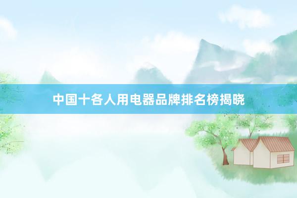 中国十各人用电器品牌排名榜揭晓