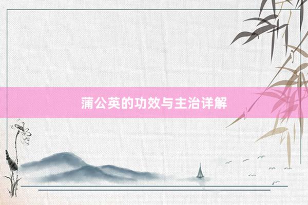 蒲公英的功效与主治详解